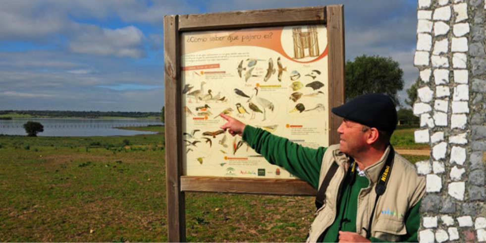 Parque Natural Doñana